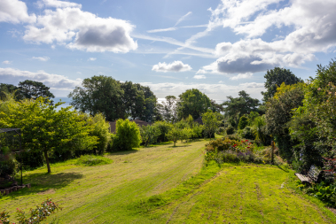 Spacious back garden