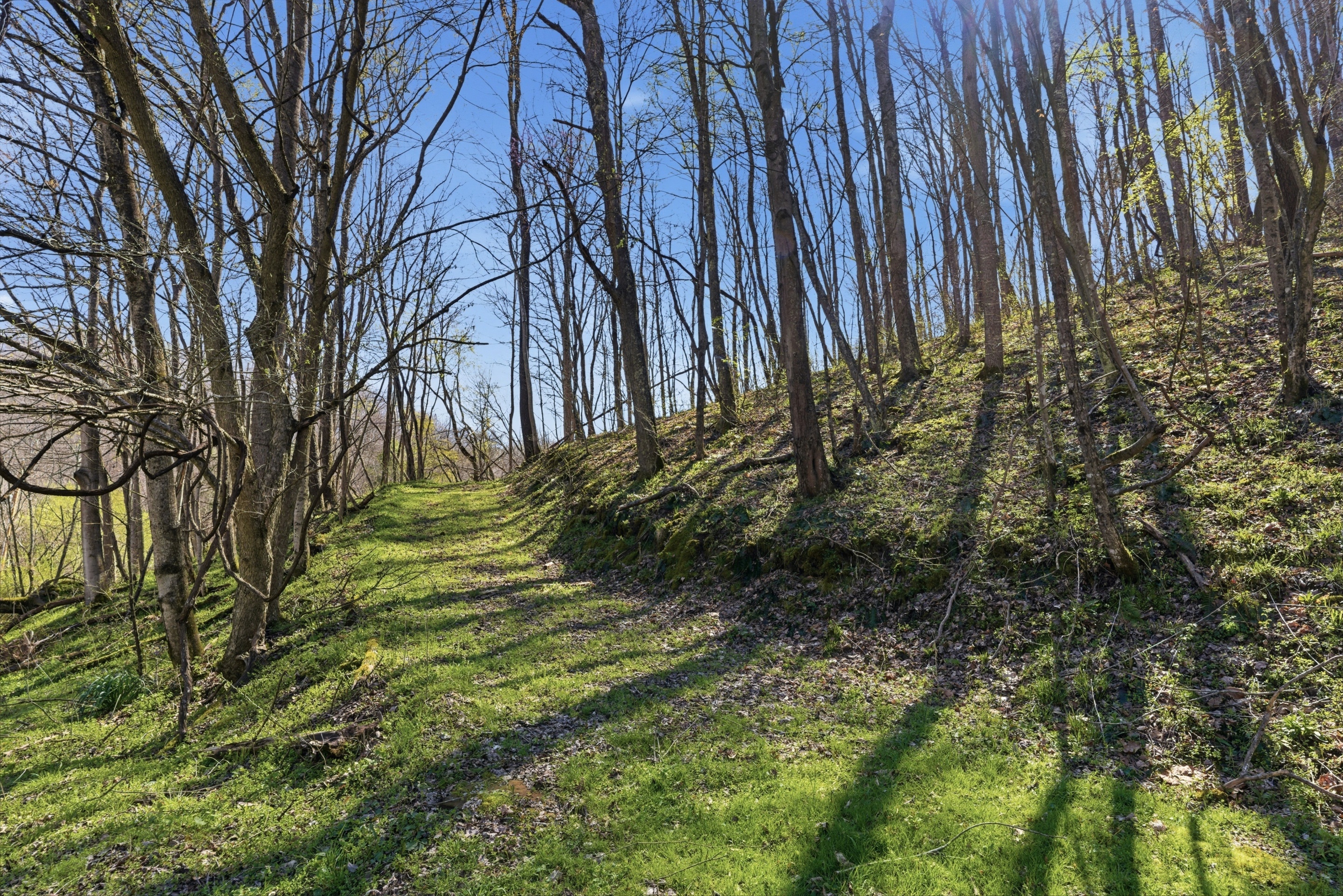 Abode at Blue Creek | Photo 47