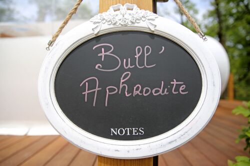 Présentation de la bulle