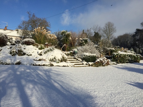 Garden at The Mulberrys