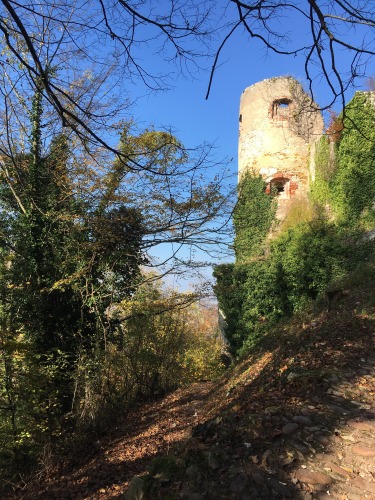randonnées et promenades : accès direct au château de Ferrette  