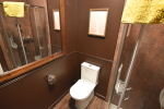 toilet and shower room