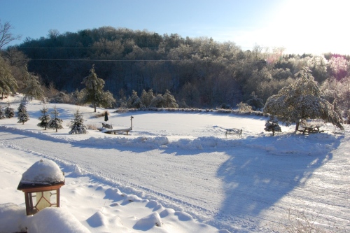 Pond View