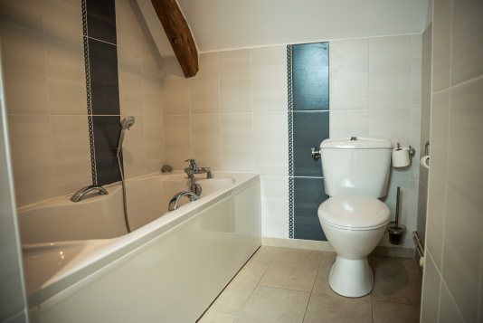 Salle de bain et wc n°1 (Appartement mansardé 2ème étage)