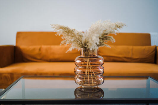 Sofa bed for extra guest