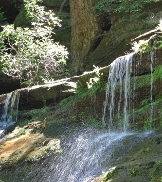 One of the smaller, hidden waterfalls that will delight you; this one is at the Cedar Falls park area.