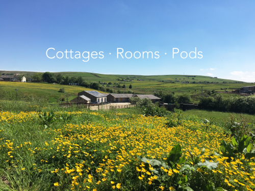 Rossendale Holiday Cottages - 