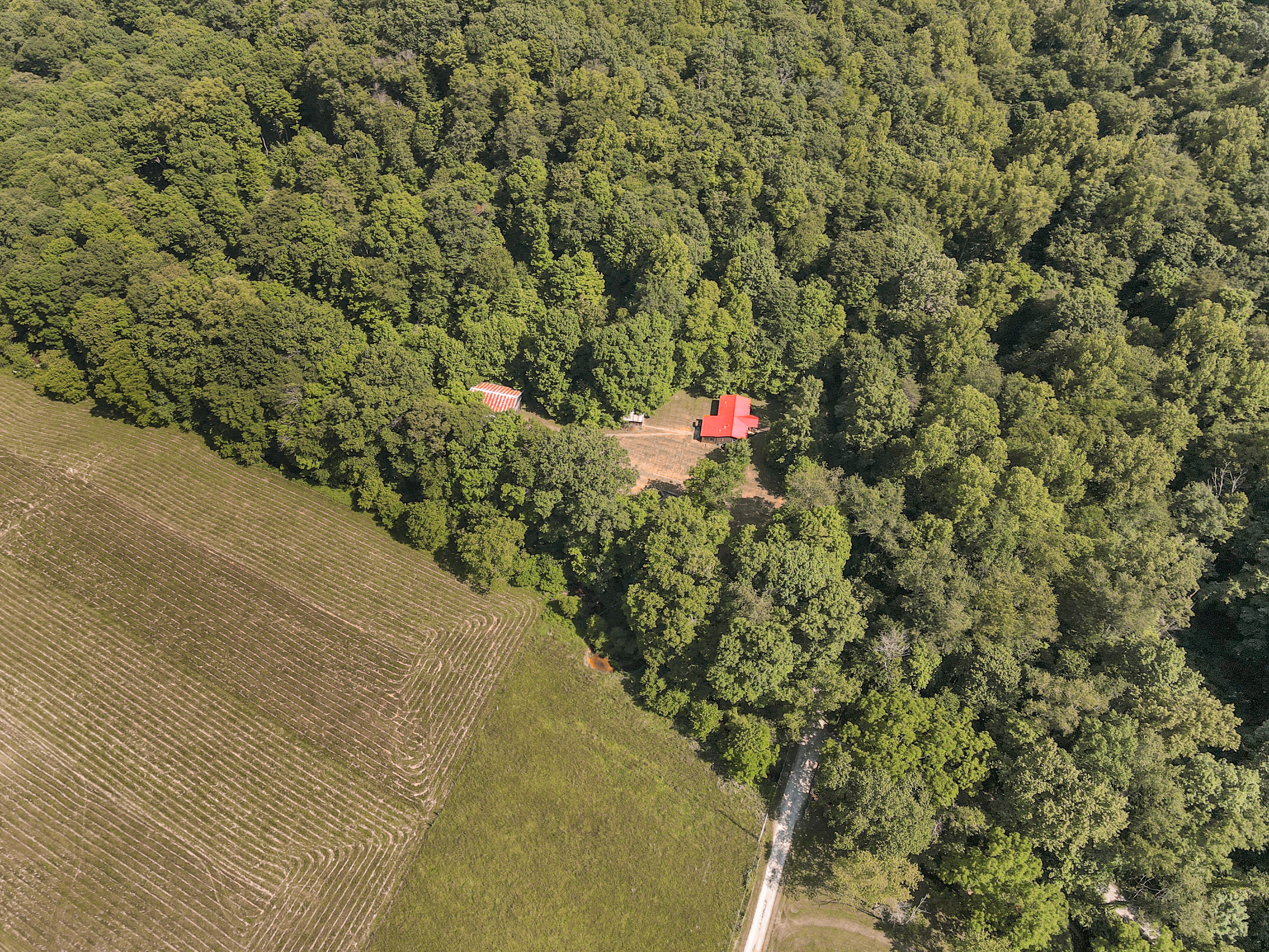 Red Head Hollow | Photo 2