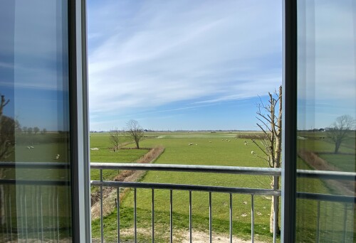 Aussicht Wohnbereich