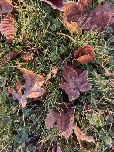 Automne au Domaine