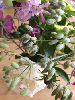 Back Garden - Flowers and Foliage from the garden