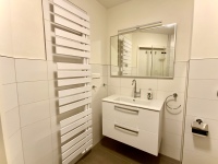 Badezimmer mit Handtuch-Heizkörper im Apartment