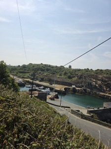 Outdoor View