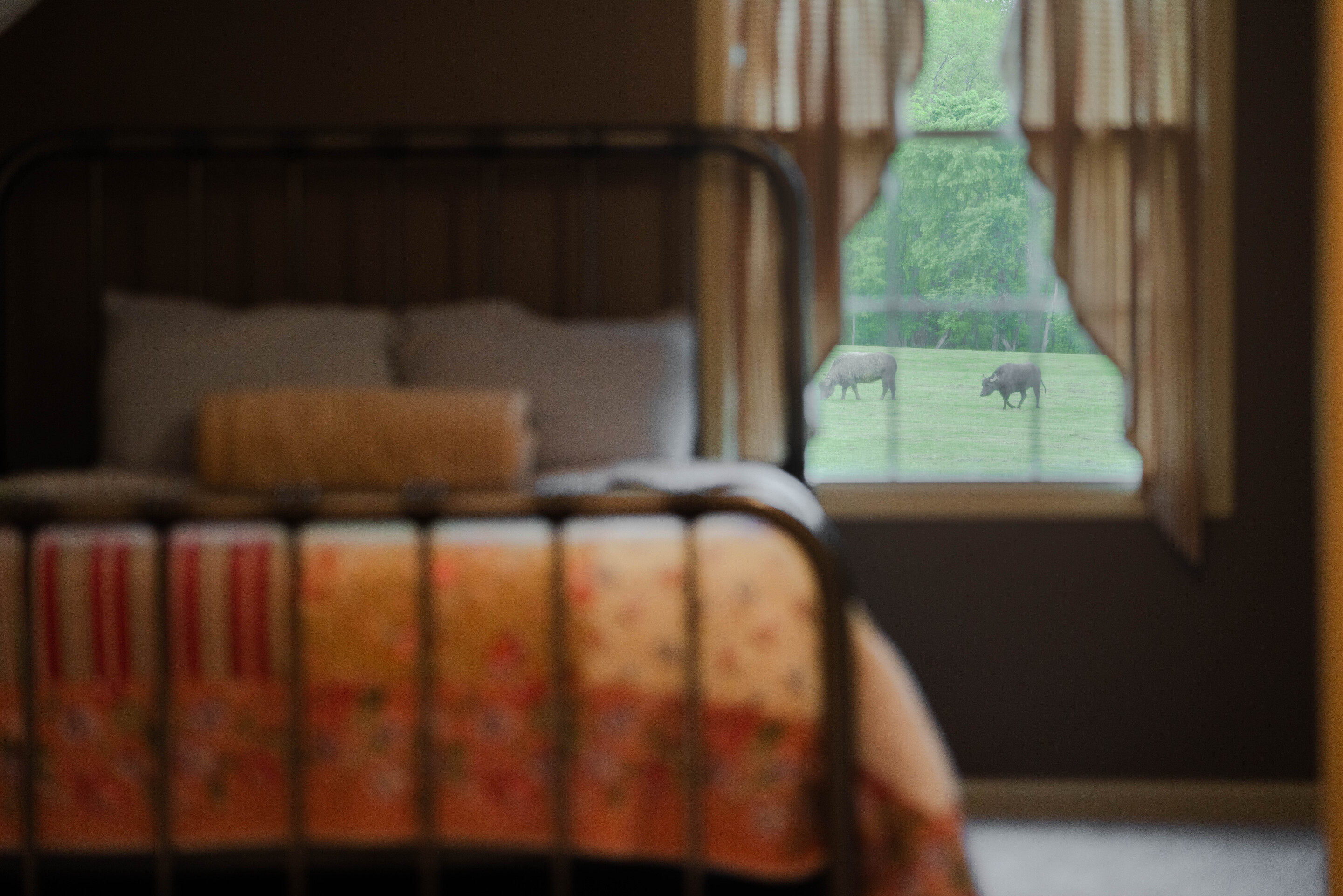 Tenant House | Photo 27