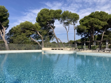 La piscine un matin d'été