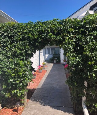 Entrance to Courtyard Rooms