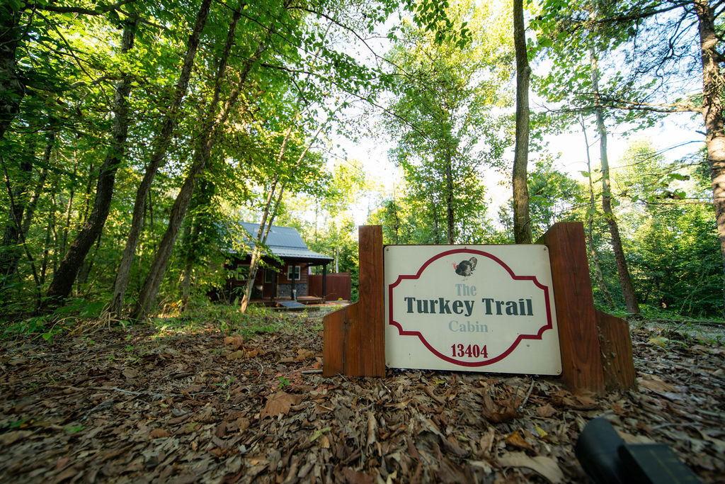 Turkey Trail | Photo 48