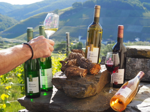Urlaub auf dem Weingut - regionale Weine genießen!
