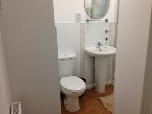 Comfort Single Room Shared Bathroom (Very Small)