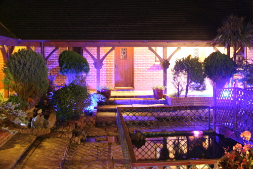 Our Water Garden at Night (shared area)