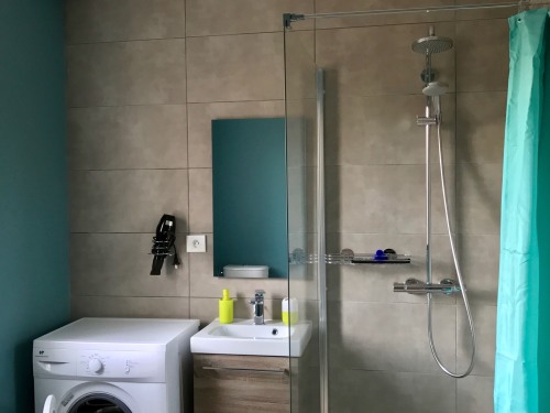 Salle d'eau du RDV comprenant douche italienne, WC surélevé, Machine à laver