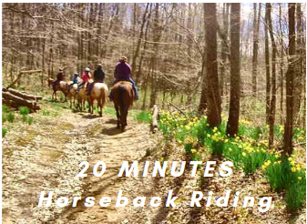 Horseback riding