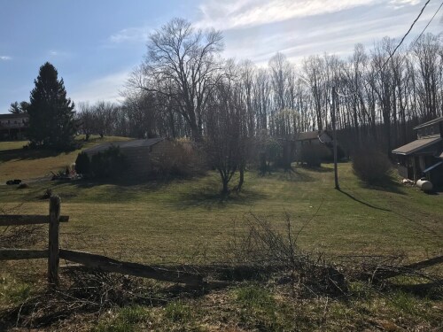 Front yard