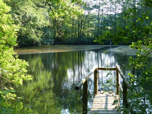 Umgebung | Burgwald
