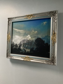 Miscelánea - Dramatic local photography graces the art apartments