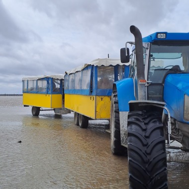 Petit Train Marin Cherrueix