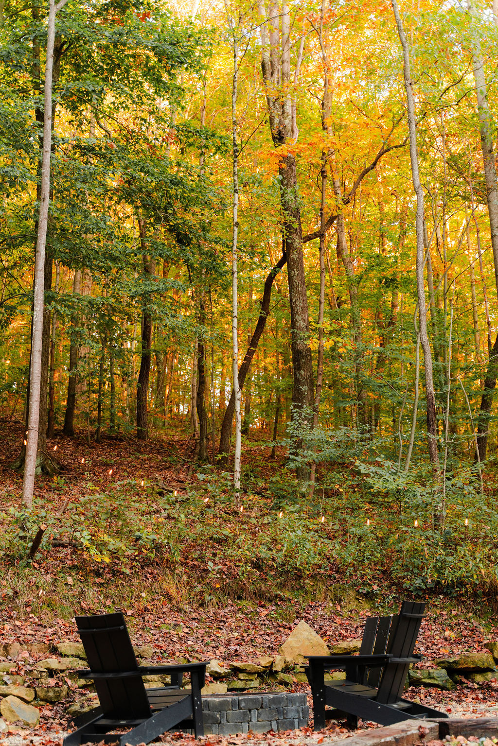 Rocky Hollow | Photo 53