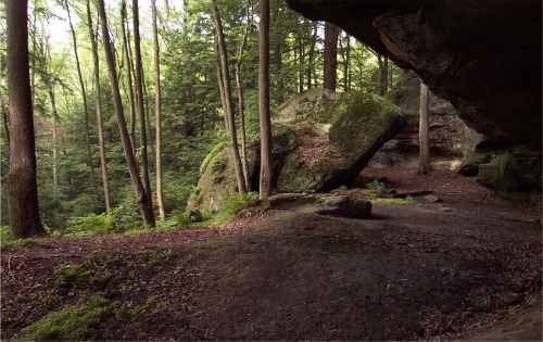 Salt Petre Caves State Nature Preserve