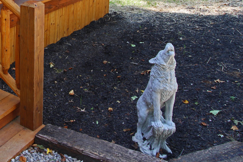 Timberwolf Statue, near front porch