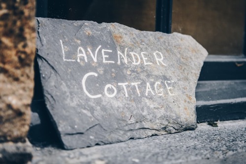 Lavender Cottage - 
