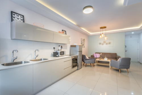 kitchen / living area 