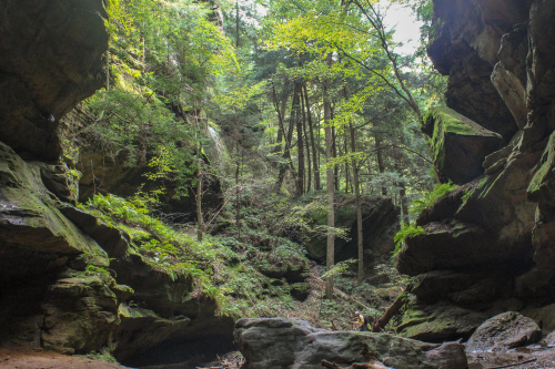 Conkle's Hollow at Hocking Hills State Park. Located 30 mins away.