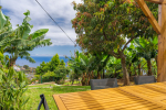 Tropical Garden