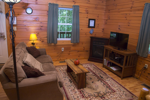 Journey Ridge Cabins - Wildwood Cabin - Wildwood Living Room