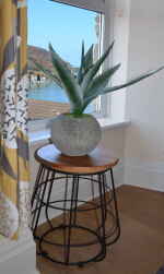 View from Living Room 