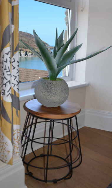 View from Living Room 