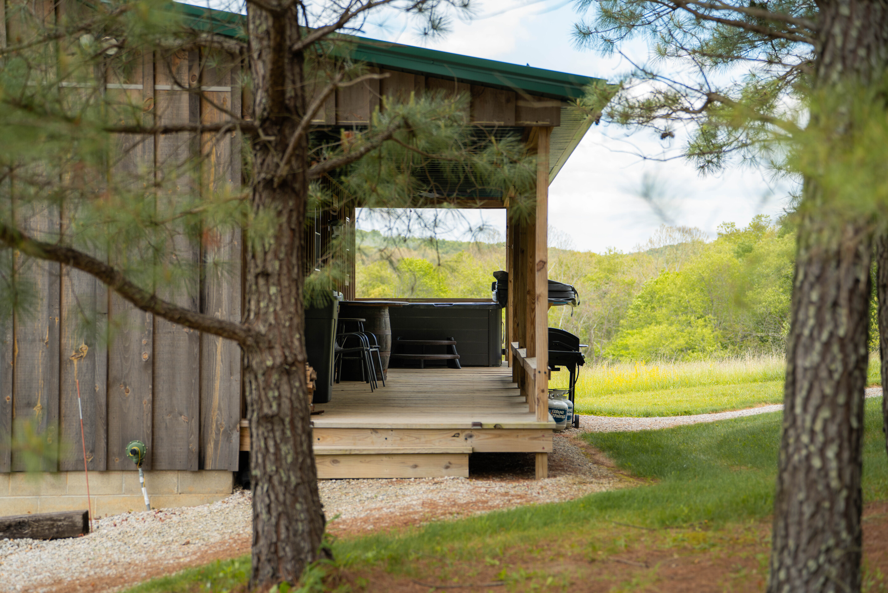 Golden Pine | Photo 21