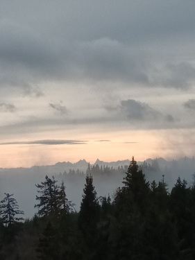 Vue depuis le domaine
