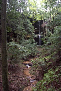 Salt Petre Caves State Nature Preserve