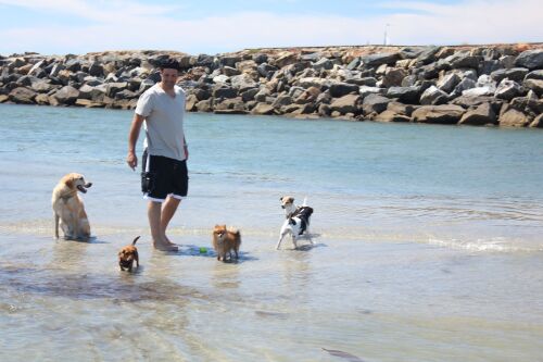 Play with your pups at Dog Beach only a 5 min drive or a 20 min walk away. 