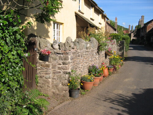 Bossington Village cottage with many flowers
