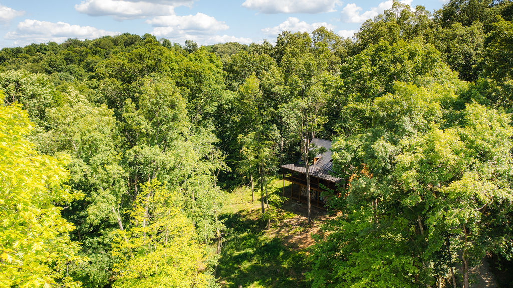 Frog Hill | Photo 82