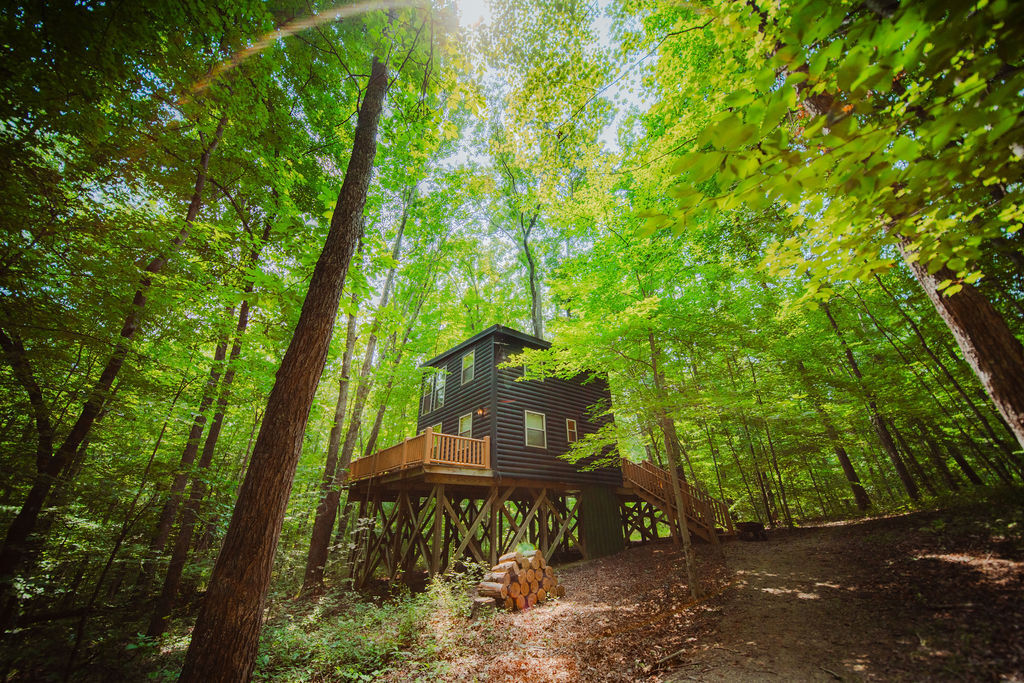Sidney Nook Treehouse | Photo 43