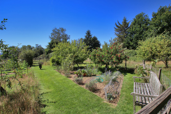 Back Garden - Herb & vegetable garden