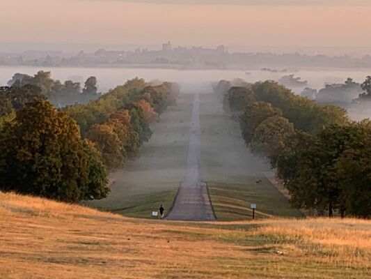 The Long Walk with a view of the Castle