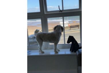 What a great Sea/Beach View